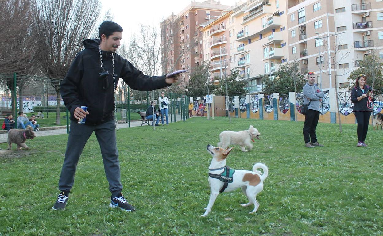 Así Es El Primer Parque Para Perros De Jaén En El Bulevar Ideal
